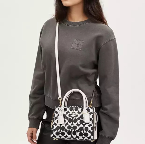 New! Andrea Carryall (Small) in Signature Canvas - Picture 1 of 9